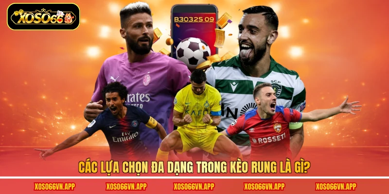 Các lựa chọn đa dạng trong kèo rung là gì?