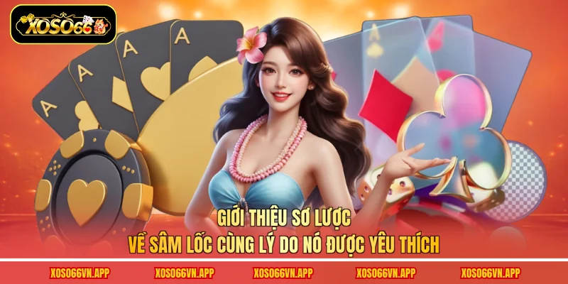 Giới thiệu sơ lược về sâm lốc cùng lý do nó được yêu thích